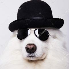 __Rev__ avatar