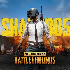 shaun005
