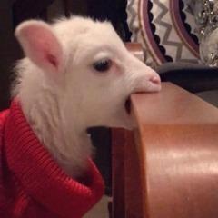 Residenttt avatar