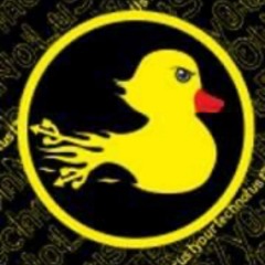 patoo__