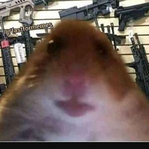 Berkan_00