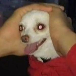 kuslyy avatar