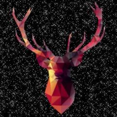 3RNY avatar