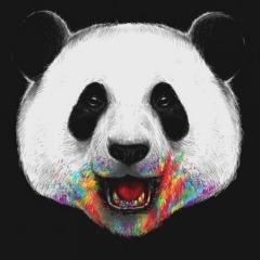xVLBx avatar