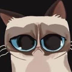 Player Optimism avatar