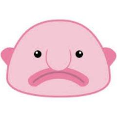 Blobbis avatar