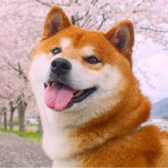 Player doge_boiz avatar