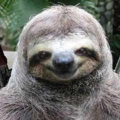 WoftamSloth