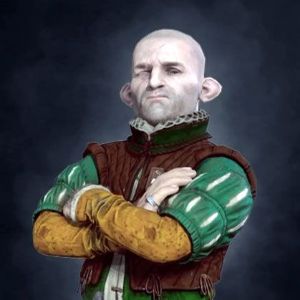 vozorom_