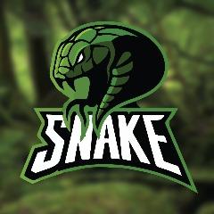 Snaekez avatar