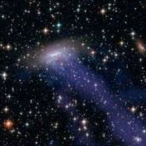 StarWonderer