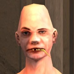 sanyaplitka