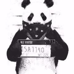 ImGviDee avatar