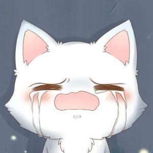 Player -shum1k avatar