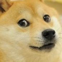 Ferenco420 avatar