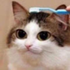 XOM9CO avatar
