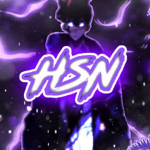 hsn213
