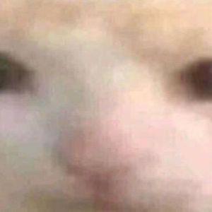 BigAndu avatar