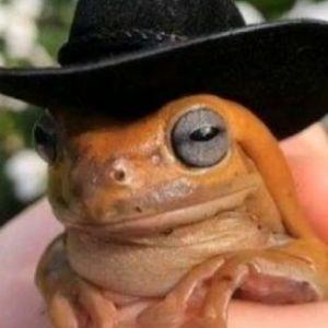 ViktorID avatar