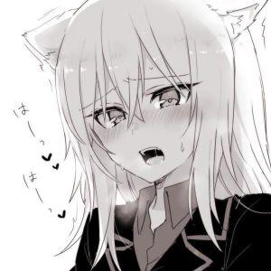 Loni17 avatar