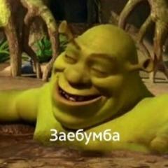 shaurmaed avatar