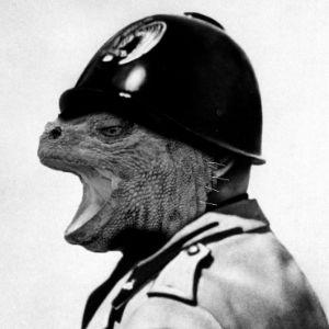 charonjez avatar