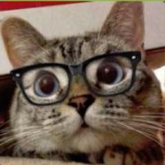 jilooo avatar