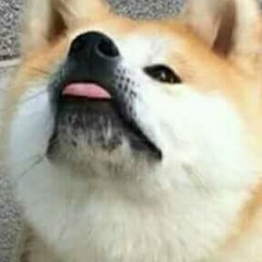 EuGordinho
