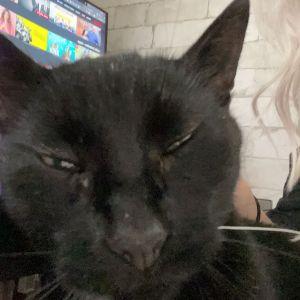Player 3ff1 avatar