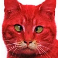red-cats avatar