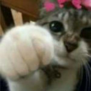 Player sewih avatar