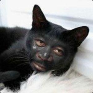 neok121 avatar