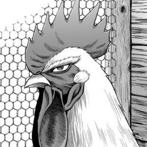 Ch1cken__fly