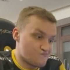 petpo1337