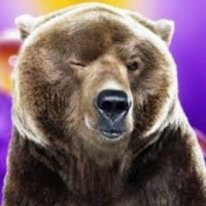 tegeran26 avatar