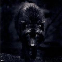 Ghost141 avatar