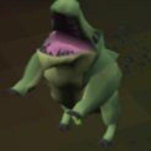 idiotdragon avatar