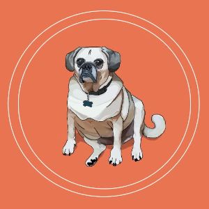 Player Kodatt avatar