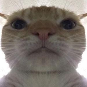 CC27 avatar
