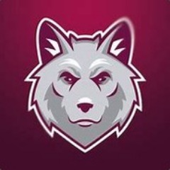 team_AstralGamer