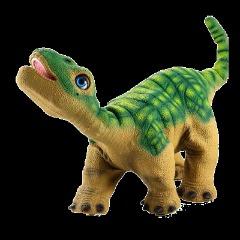 DERMODON1