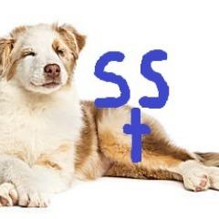 sstypick