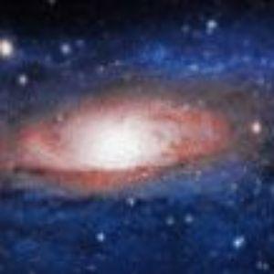 Trixrk avatar
