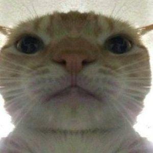 Phill512 avatar