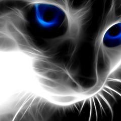Xenide avatar