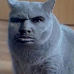 Maks0__0 avatar