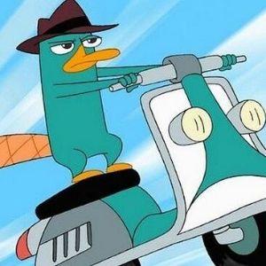 AgPerry avatar