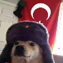 Fiskey avatar
