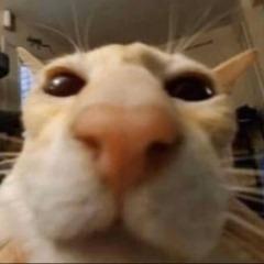 Player UltraXXZ69 avatar