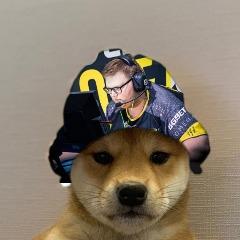Obese_Beaver